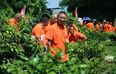 震驚：50元買一只紅蜘蛛？!——這一次，果農(nóng)們有話要說