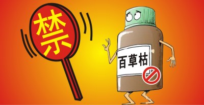 百草枯將被禁用??？滅生性除草劑市場進入洗牌期，誰能搶占先機？                   來源于  農(nóng)資與市場  王奕