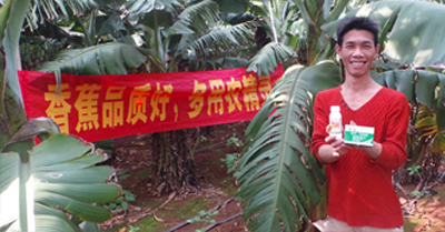 差距這么大， 是真的嗎？ 銀農(nóng)故事匯—香蕉篇