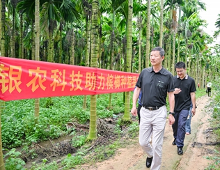 不斷創(chuàng)新納米農(nóng)藥，“銀農(nóng)三寶”助力檳榔提質(zhì)增收