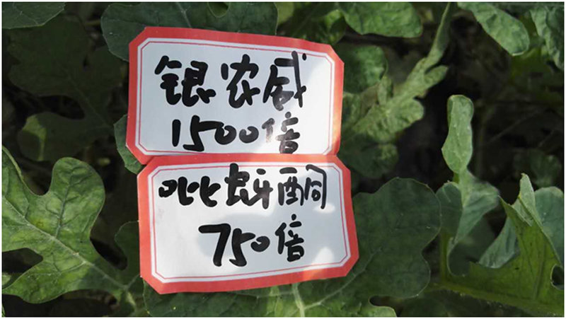 【探索】是什么讓黃蚜如此落?。?>
        </a>
        

    

</div><div   id=
